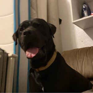 Meet your Posher, Adriana